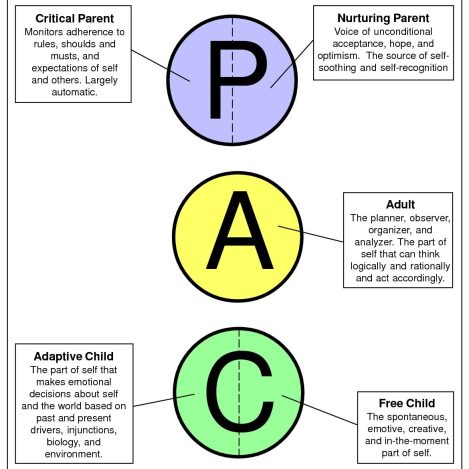 Transakcijska analiza