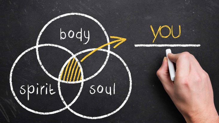 Telesno usmerjena terapija Telesno usmerjena terapija