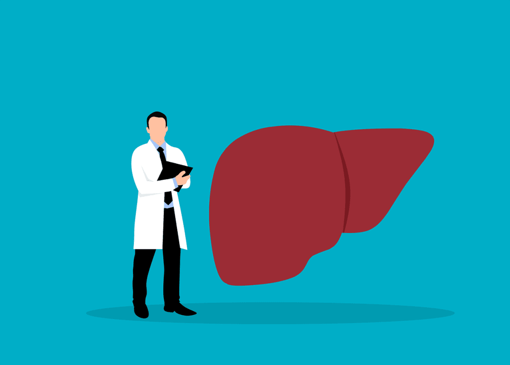 liver