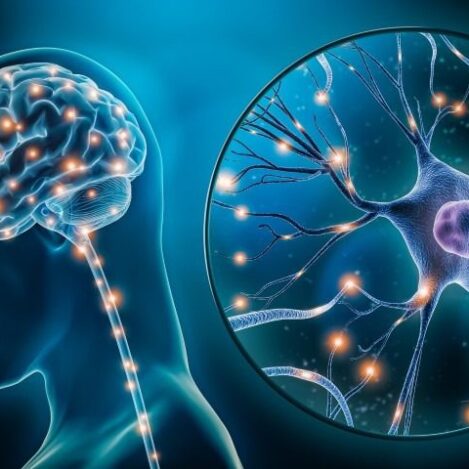 Regulacija živčnega sistema