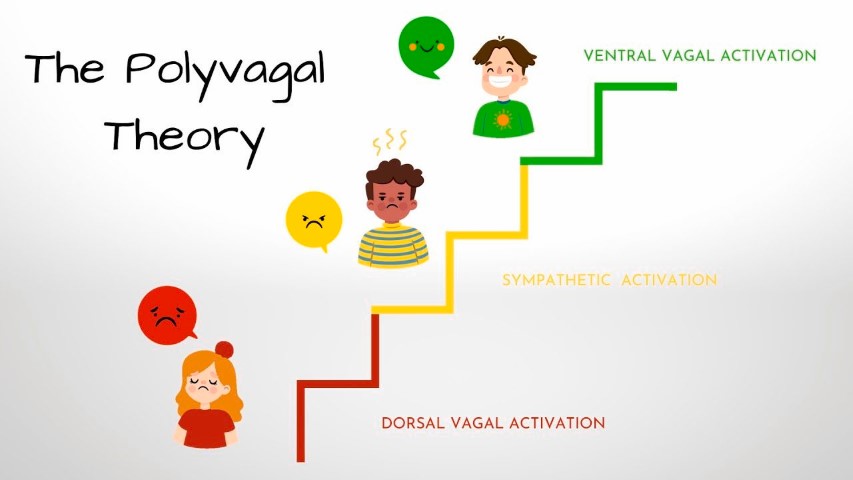 Polivagalna teorija