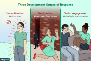 Polyvagal theory