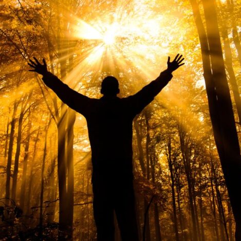 Družinske konstelacije