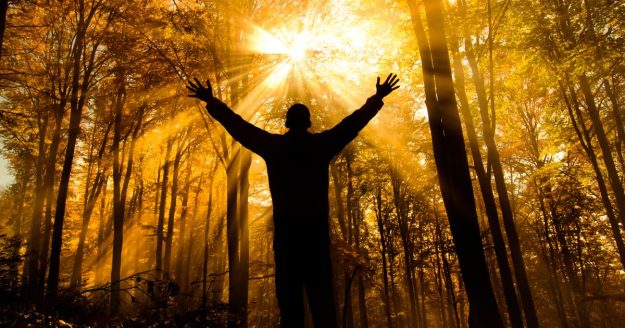 Družinske konstelacije